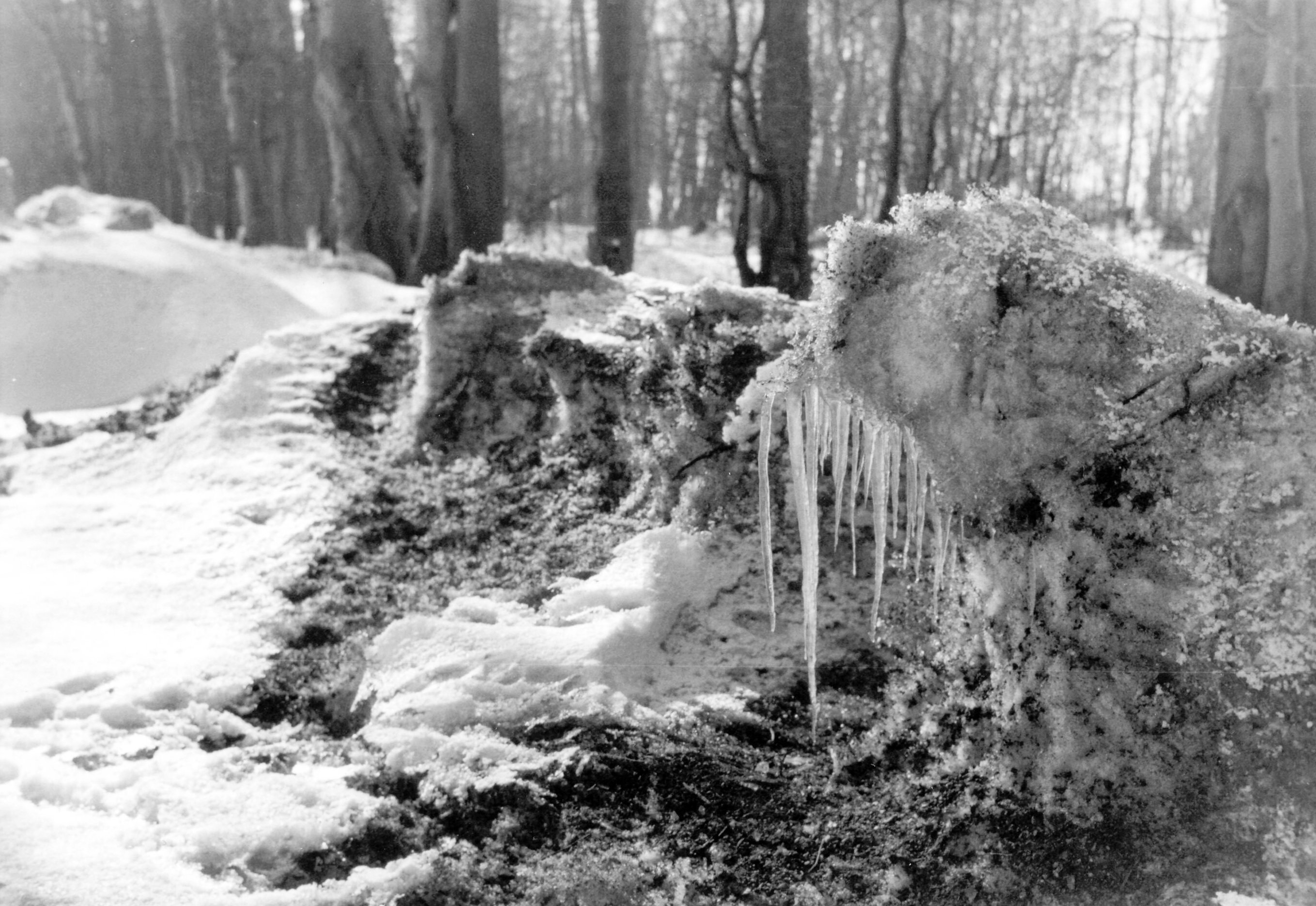 icicles